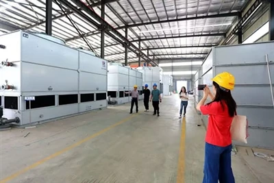 The Philosophy Of Manufacturing Tempered By Time: Oasis Bingfeng's 23-Year Commitment To Quality